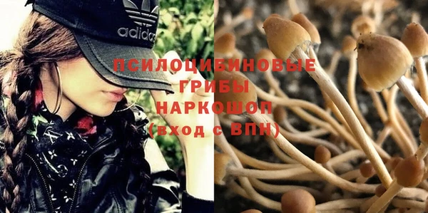 марки nbome Армянск