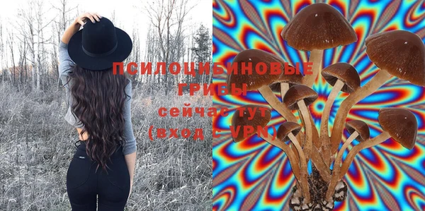 марки nbome Армянск