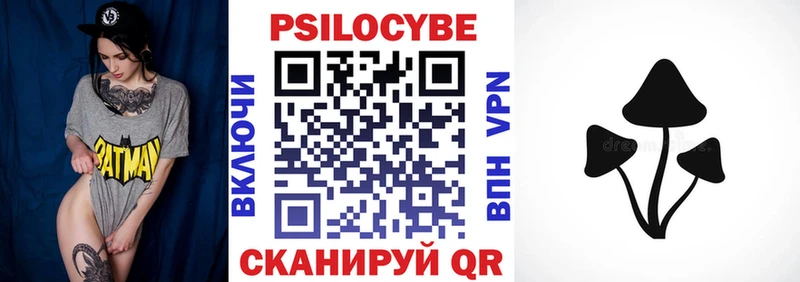Псилоцибиновые грибы Psilocybe Лысково